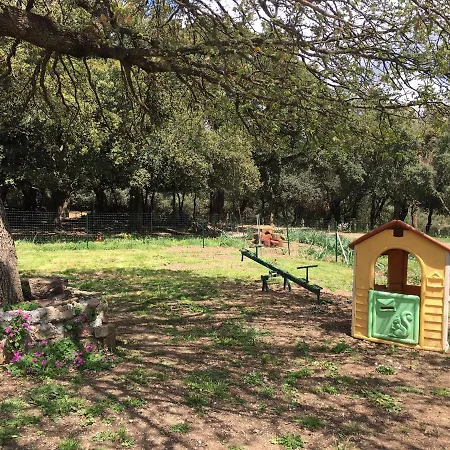 Gospodarstwo agroturystyczne Azienda Agrituristica S'argalasi - - Loc S'argalasi *