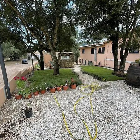 Azienda Agrituristica S'argalasi - - Loc S'argalasi *