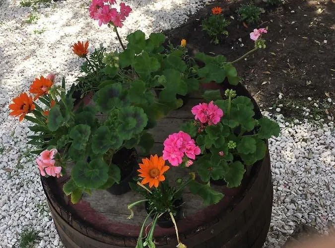 Azienda Agrituristica S'argalasi - - Loc S'argalasi