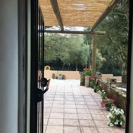 Azienda Agrituristica S'argalasi - - Loc S'argalasi Farma Austis