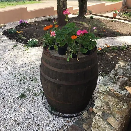 Azienda Agrituristica S'argalasi - - Loc S'argalasi Farm stay Austis