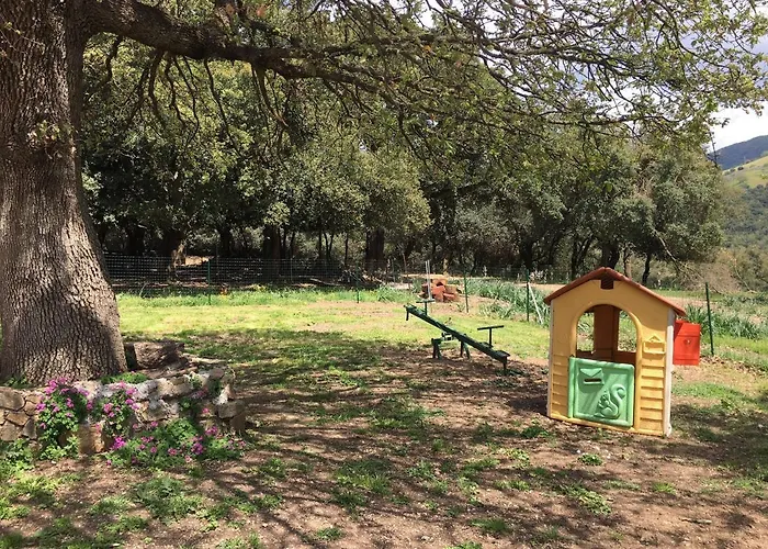 Farm stay Azienda Agrituristica S'argalasi - - Loc S'argalasi *