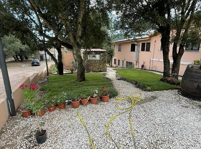 Azienda Agrituristica S'argalasi - - Loc S'argalasi *